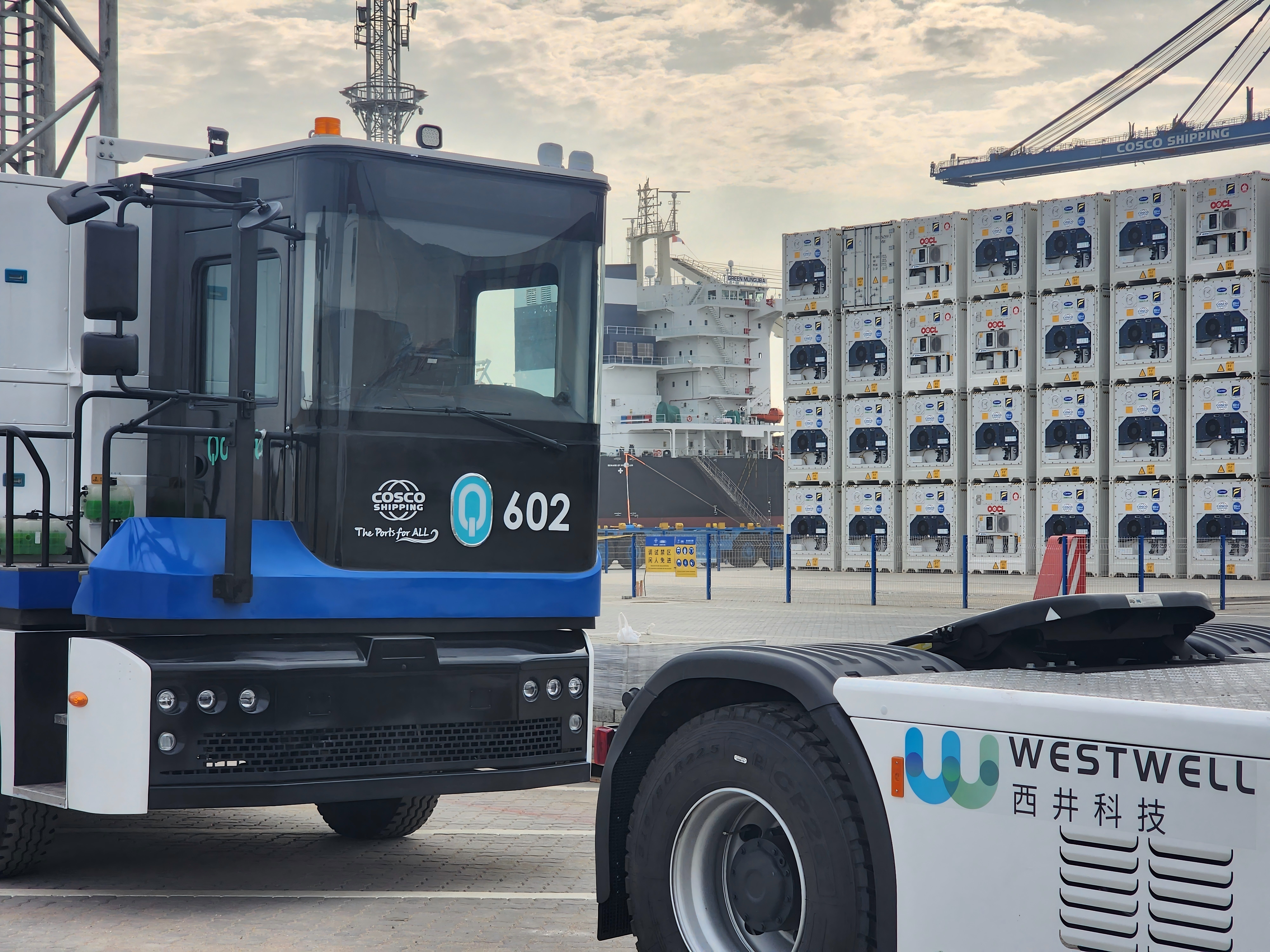 秘鲁钱凯港自动化码头中，西井科技E-Truck电动集卡车队运行实景，展现港口绿色运输与自动化运营场景。